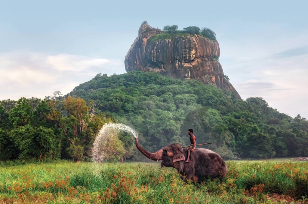 Гайд по отдыху на Шри-Ланке